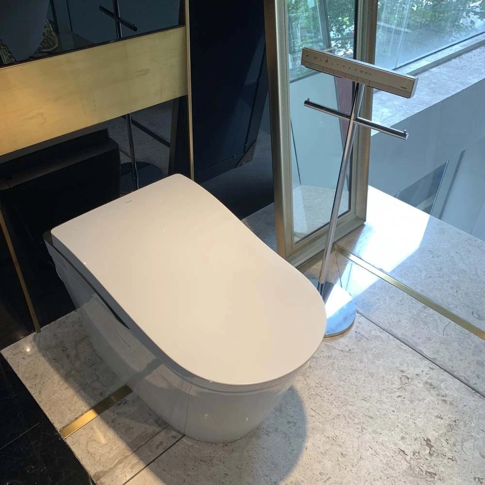 Ảnh Bồn cầu thông minh TOTO CS911VT/TCF87320GAA/T53P100VR 3