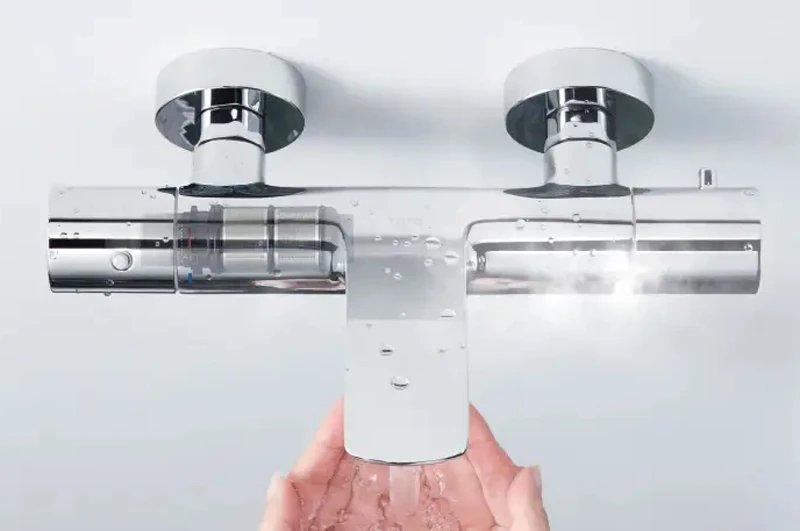 Ảnh Sen tắm cây TOTO TX454SFV2BRS 3