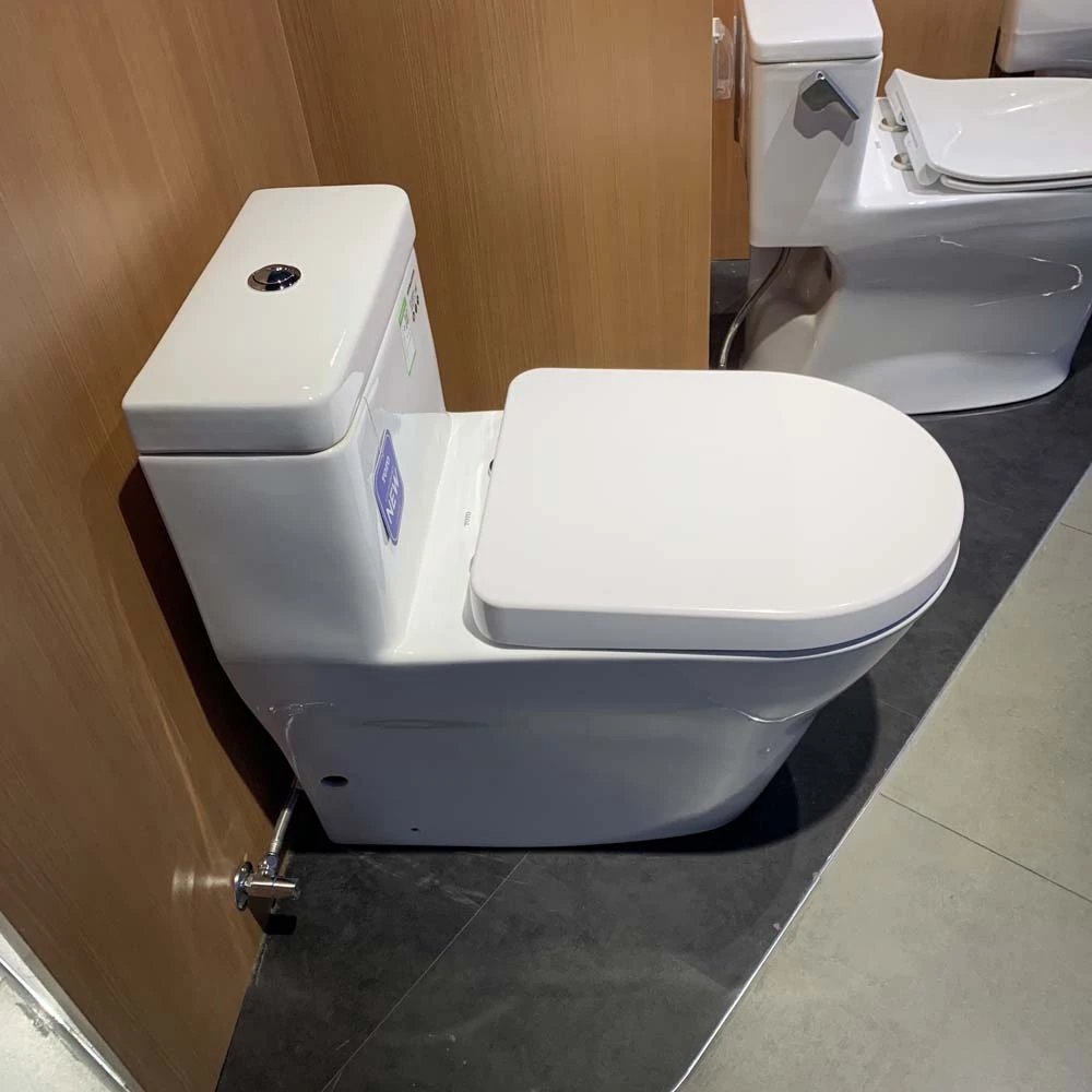 Ảnh Bồn cầu thông minh TOTO CW166RB/TC384CVK/T53P100VR 6