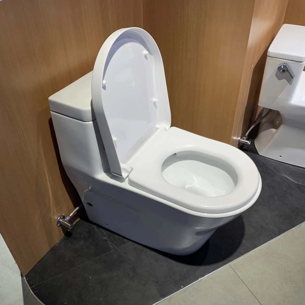 Ảnh Bồn cầu thông minh TOTO CW166RB/TC384CVK/T53P100VR 5