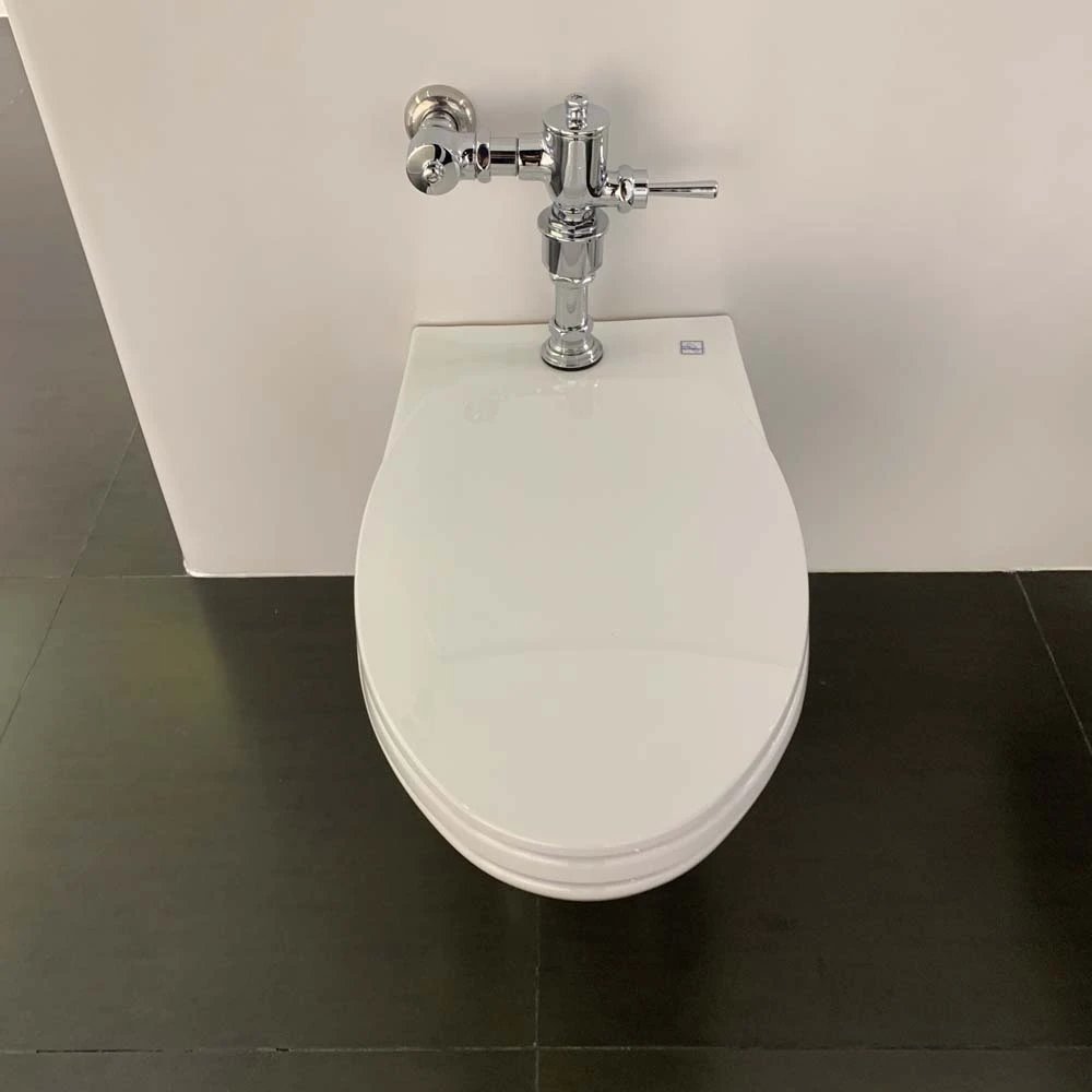 Ảnh Bồn cầu thông minh TOTO CW550#XW/TC393VS#W/HTS153S/TV150NSV6J 4