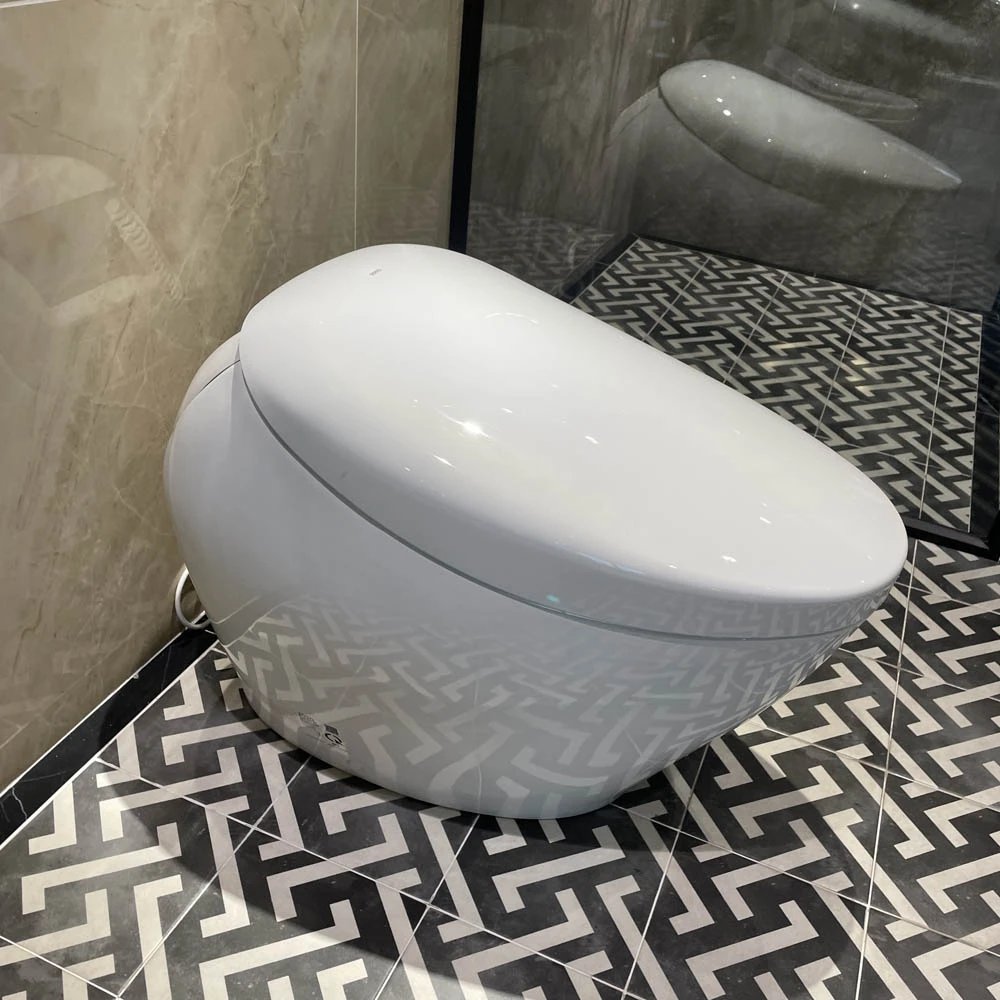 Ảnh Bồn cầu thông minh TOTO CS901KVT/T53P100VR 3