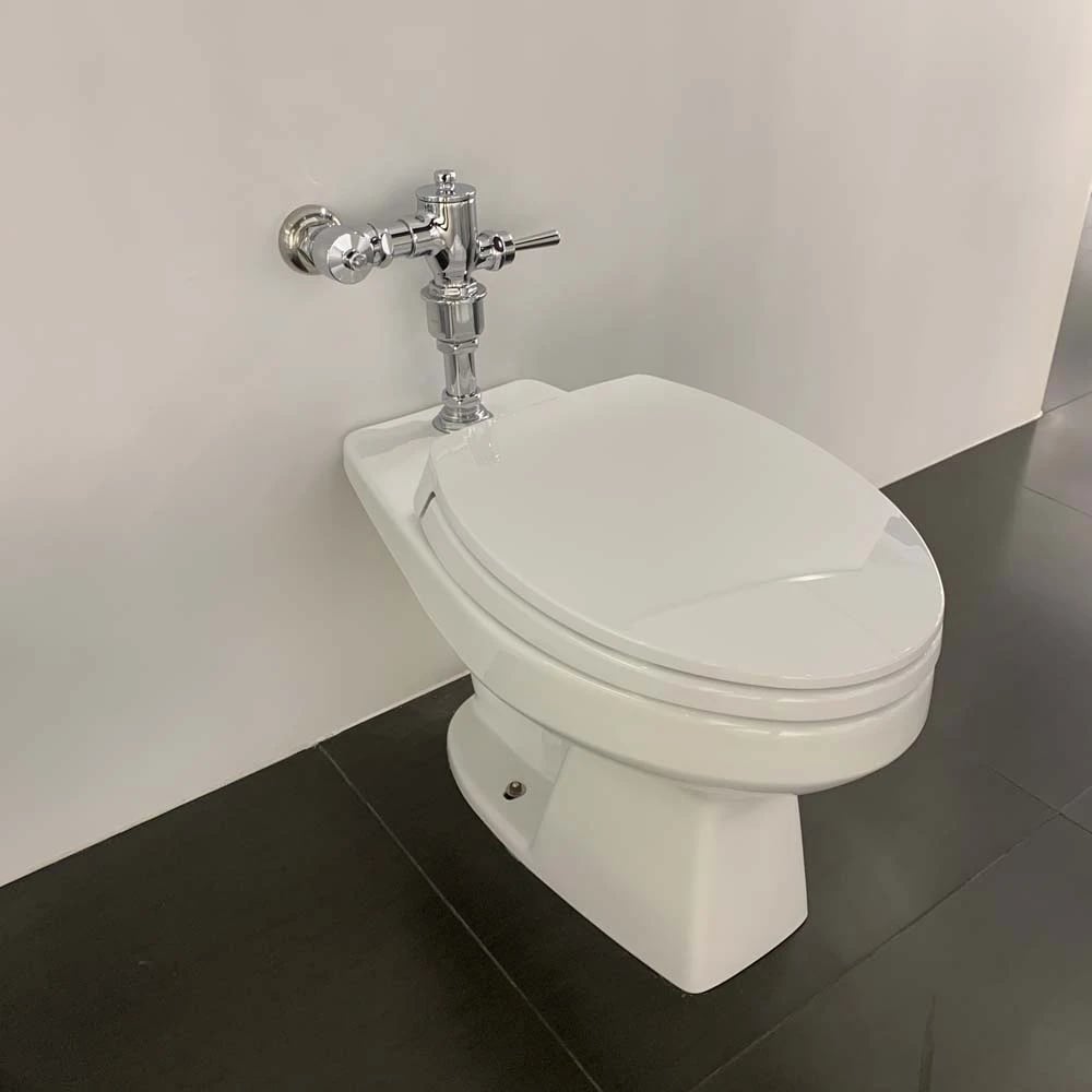 Ảnh Bồn cầu thông minh TOTO CW705ENJ/TV150NSV7J/TX802CV1/T53P100VR/T53RV1/TC393VS 4