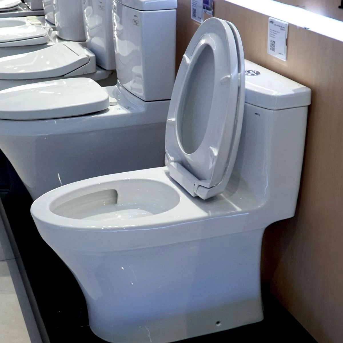 Ảnh Bồn cầu 1 khối TOTO MS889DRT2 4