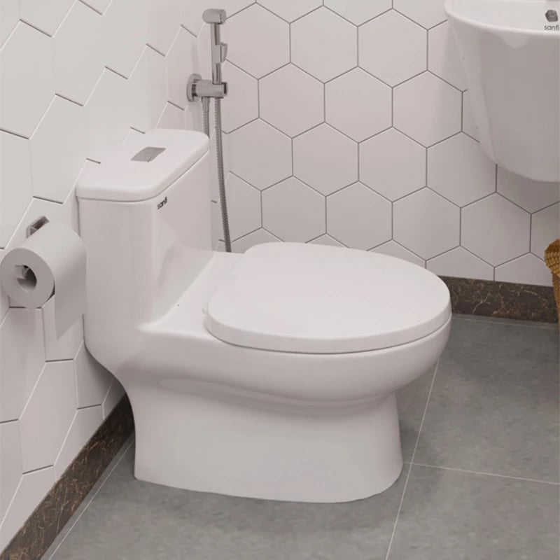 Ảnh Bồn cầu 1 khối Sanfi S309 3