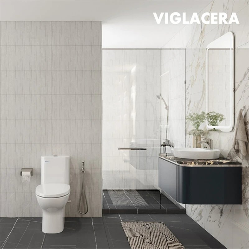 Ảnh Bồn cầu 1 khối Viglacera V848 4