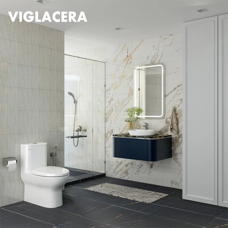 Ảnh Bồn cầu 1 khối Viglacera V848 3