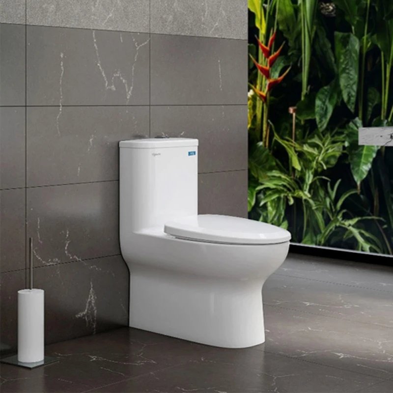 Ảnh Bồn cầu 1 khối Viglacera V848 2