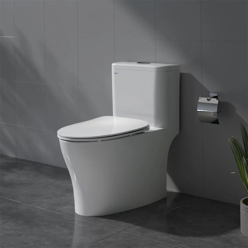 Ảnh Bồn cầu 1 khối Viglacera V63 2