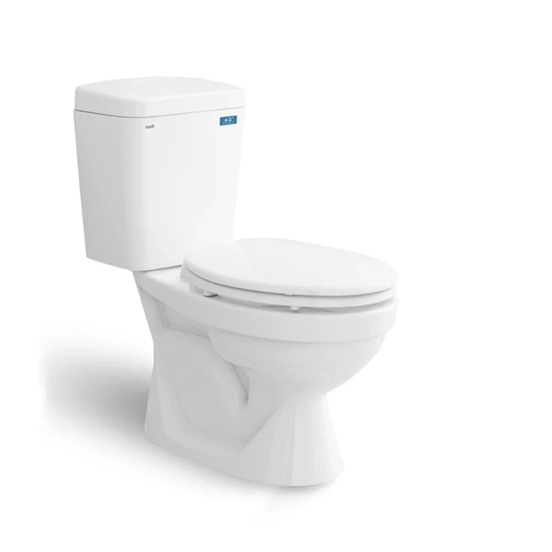 Ảnh Bồn cầu 2 khối Sanfi S201 2
