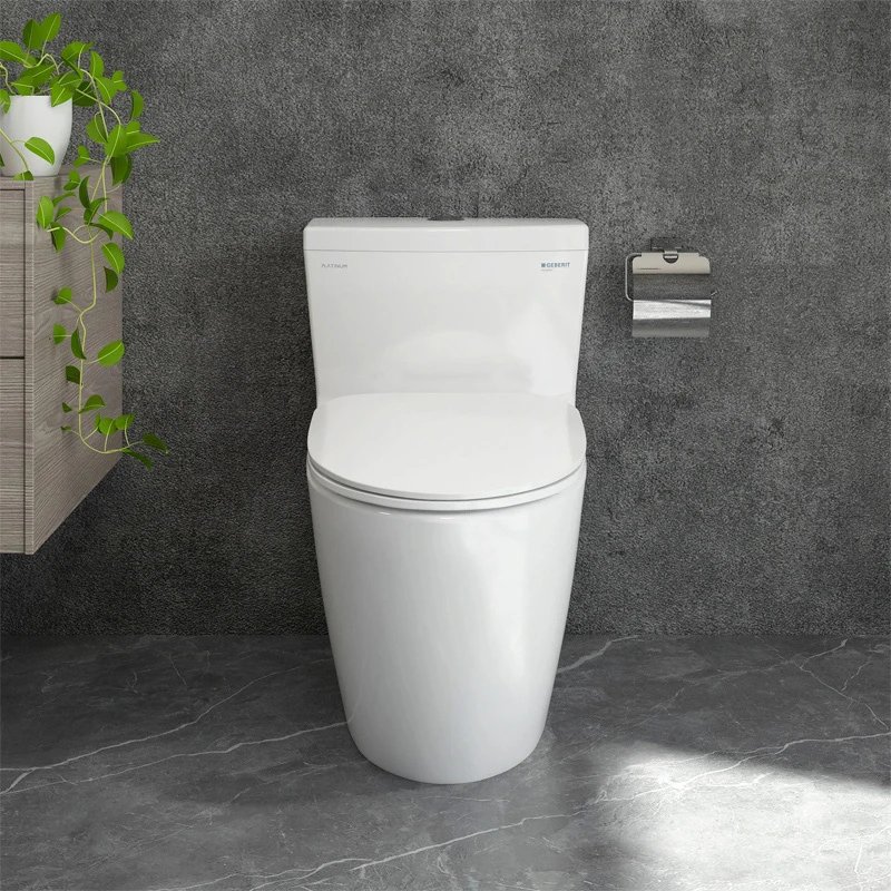 Ảnh Bồn cầu 1 khối Viglacera P355 (P.11.320) 3