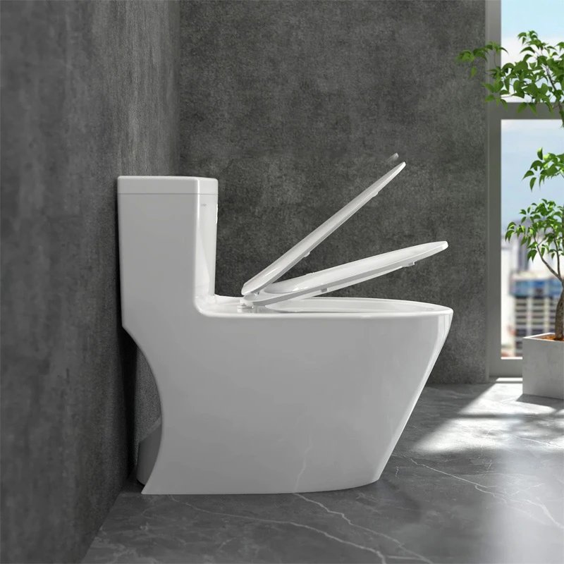 Ảnh Bồn cầu 1 khối Viglacera P355 (P.11.320) 5