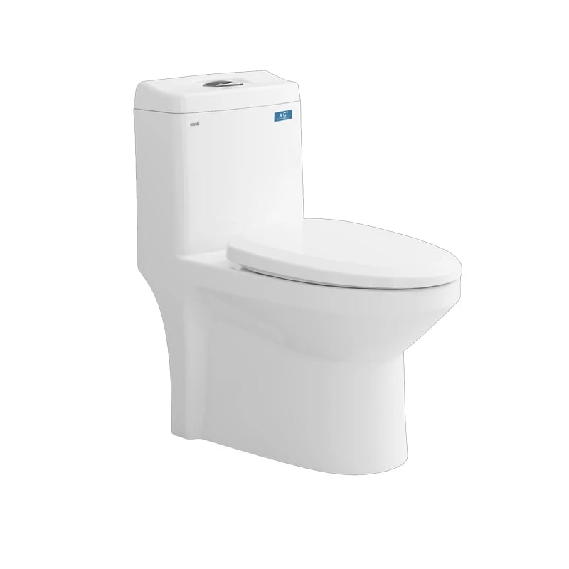 Ảnh Bồn cầu 1 khối Sanfi S301 2