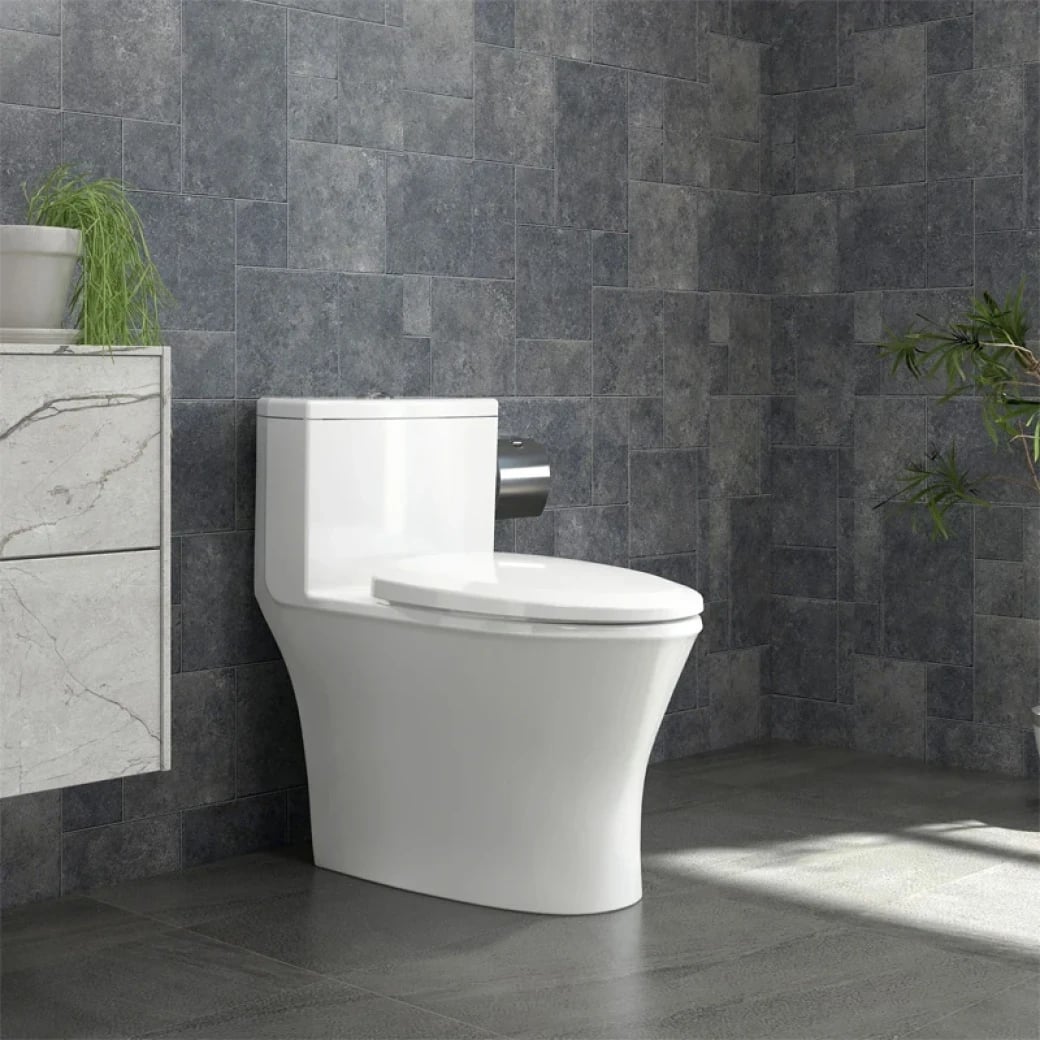 Ảnh Bồn cầu 1 khối Sanfi S303 4