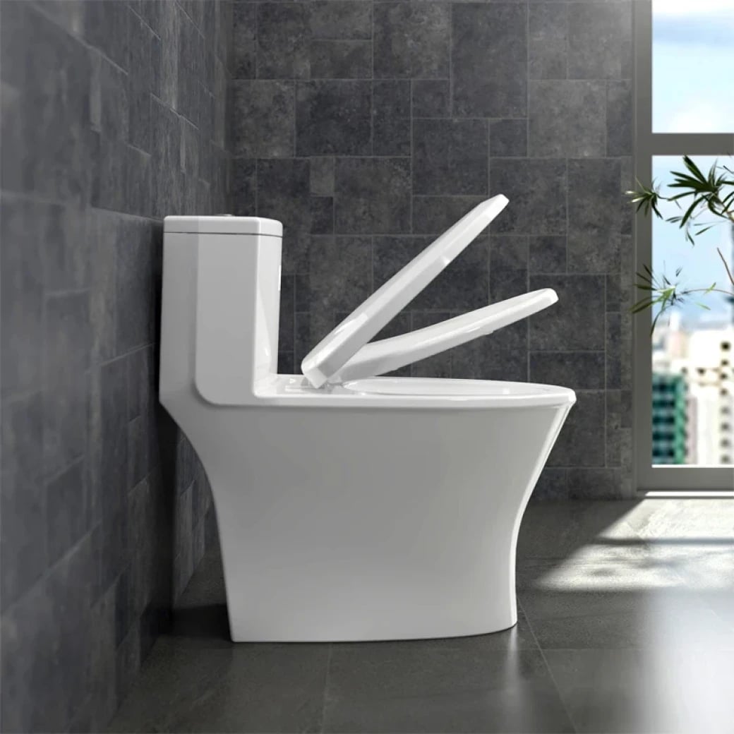 Ảnh Bồn cầu 1 khối Sanfi S303 5