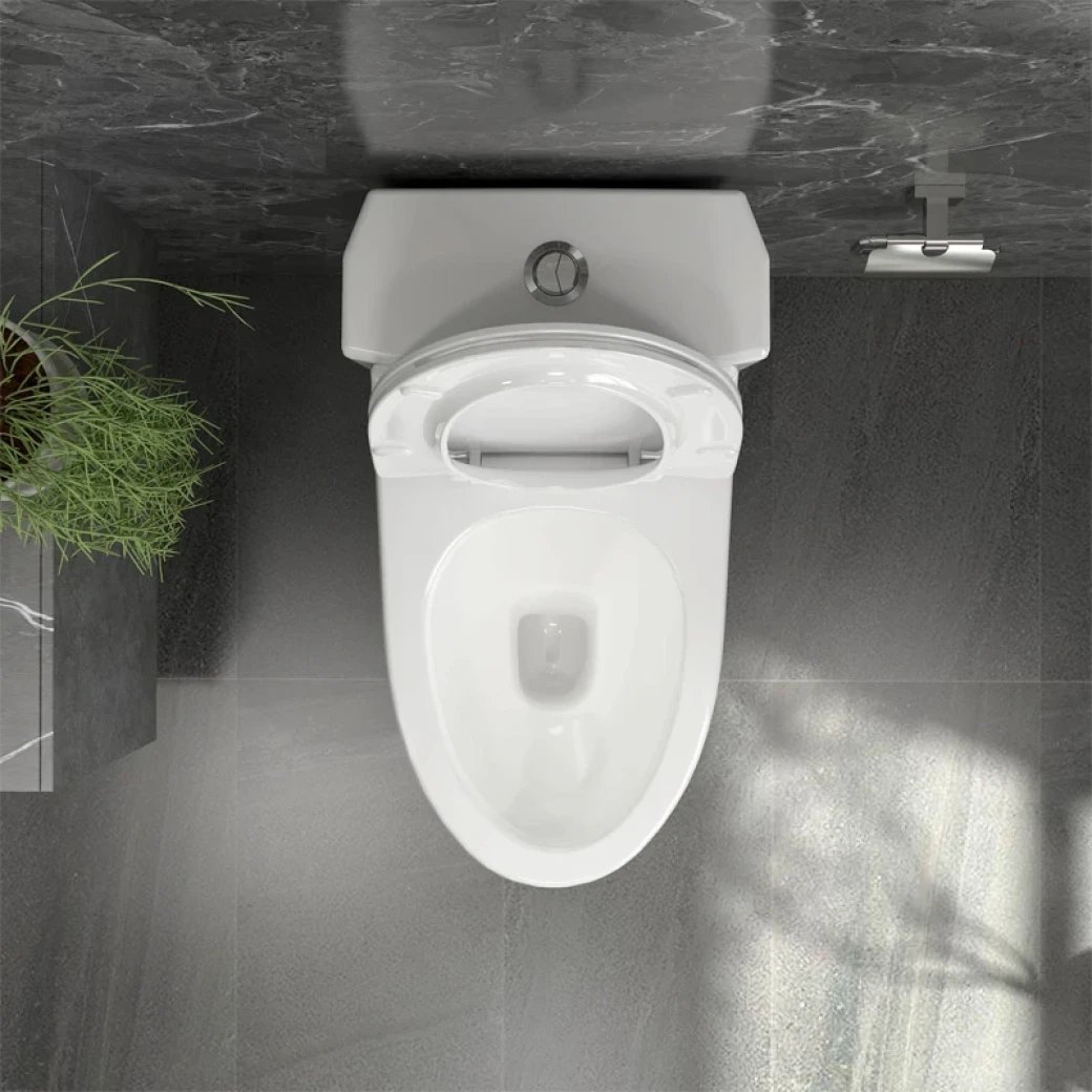 Ảnh Bồn cầu 1 khối Sanfi S303 5