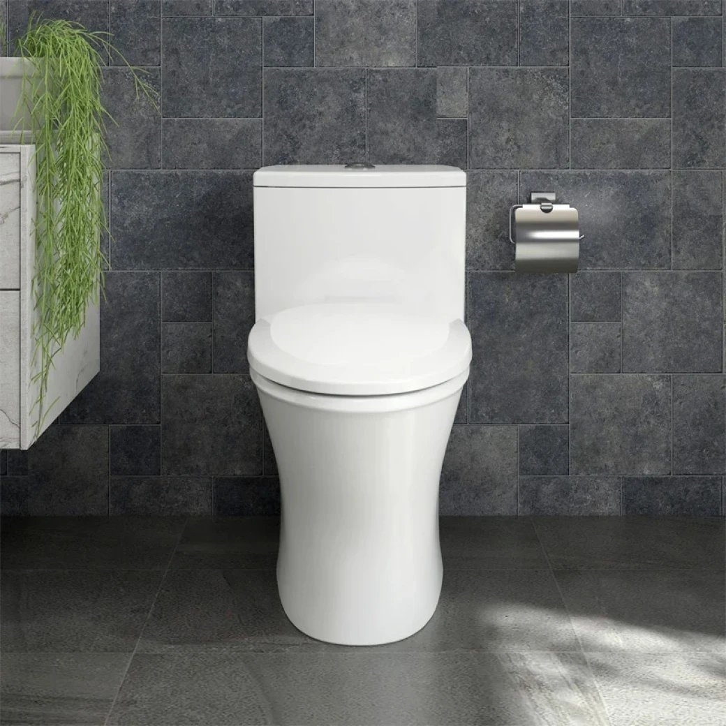 Ảnh Bồn cầu 1 khối Sanfi S303 2