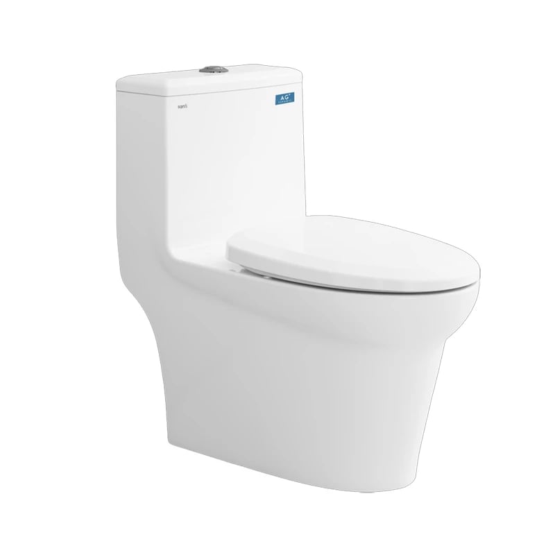 Ảnh Bồn cầu 1 khối Sanfi S306 2