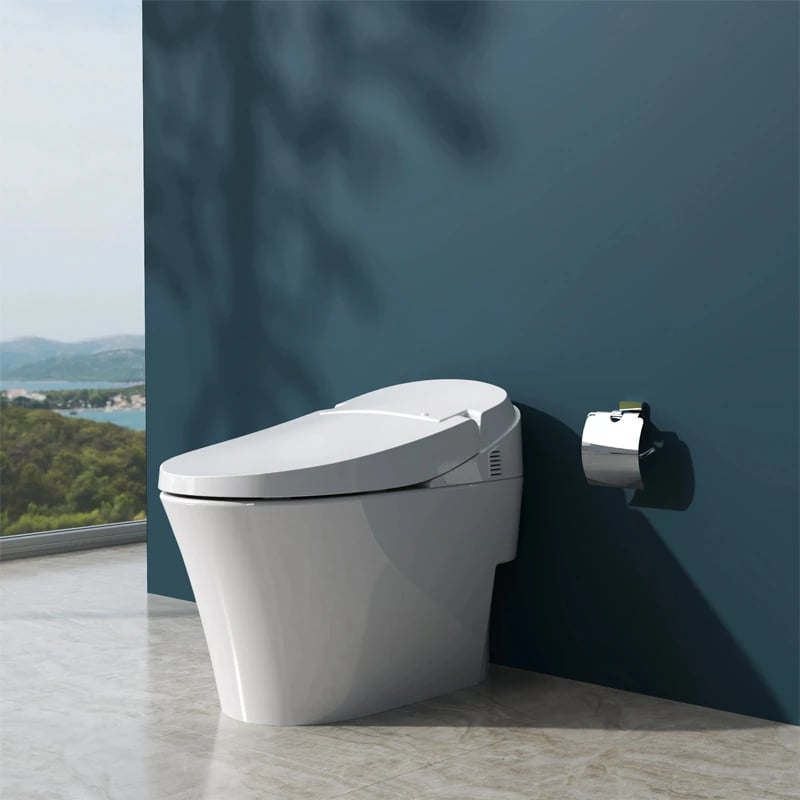 Ảnh Bồn cầu thông minh Viglacera V91 2