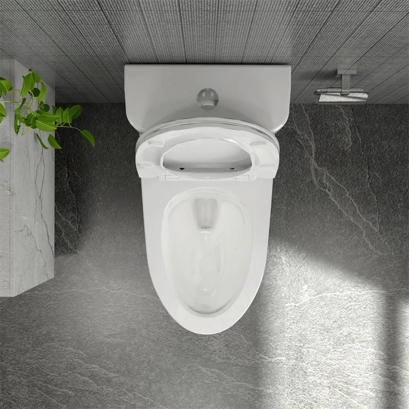 Ảnh Bồn cầu 1 khối Viglacera P356 (P.11.321) 4