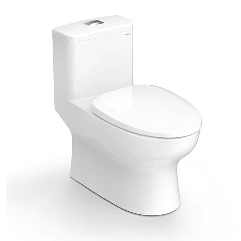 Ảnh Bồn cầu 1 khối Sanfi S309 2