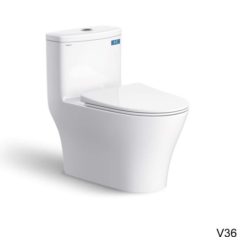 Ảnh Combo thiết bị vệ sinh Viglacera số 4 2