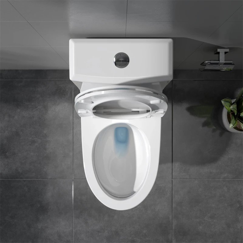 Ảnh Bồn cầu 1 khối Viglacera V65 4