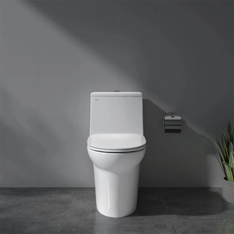 Ảnh Bồn cầu 1 khối Viglacera V65 2