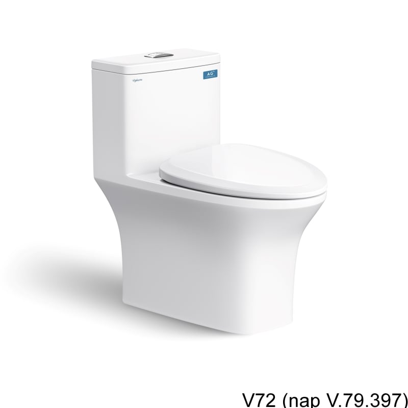 Ảnh Combo thiết bị vệ sinh Viglacera số 8 2