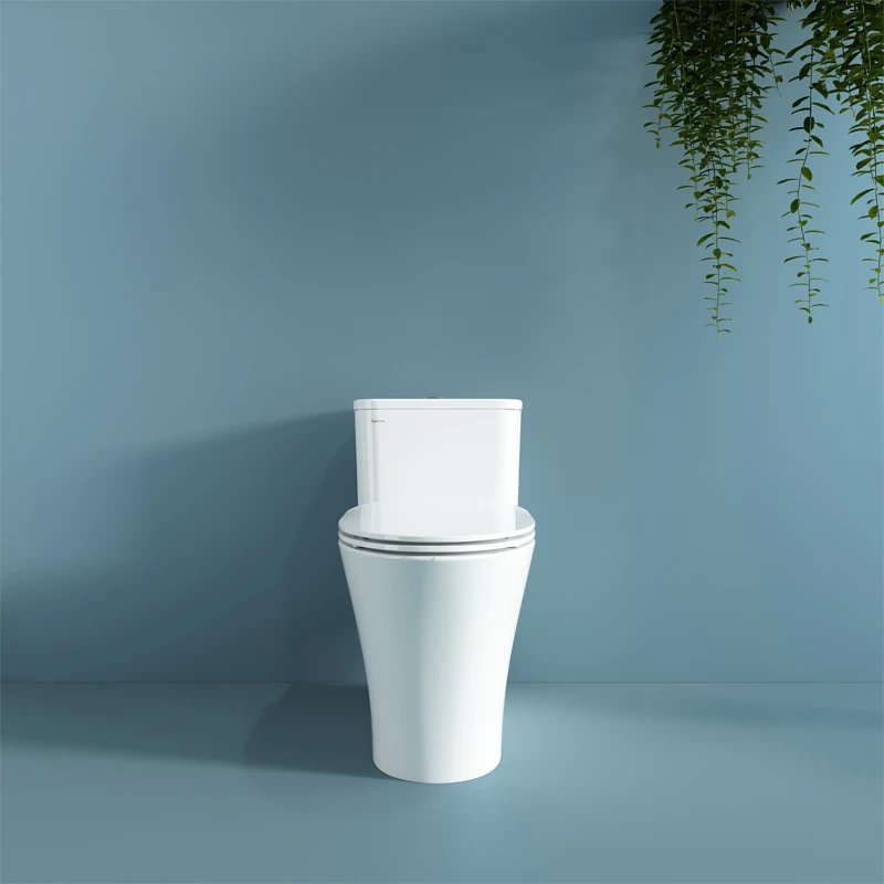 Ảnh Bồn cầu 1 khối Viglacera V829 2