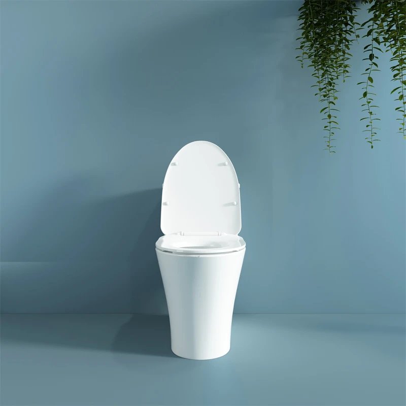 Ảnh Bồn cầu 1 khối Viglacera V829 3