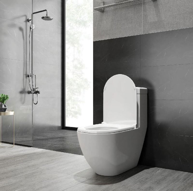 Ảnh Bồn cầu 1 khối Viglacera V199 2