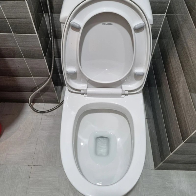 Ảnh Bồn cầu 1 khối Viglacera V38 2