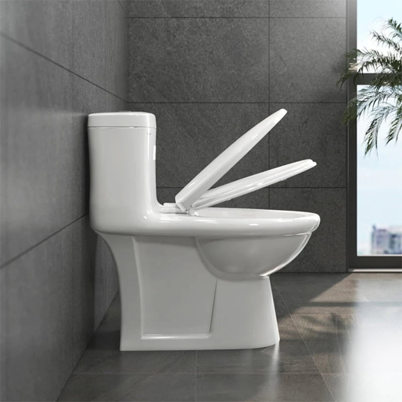 Ảnh Bồn cầu 1 khối Viglacera BL5V 4