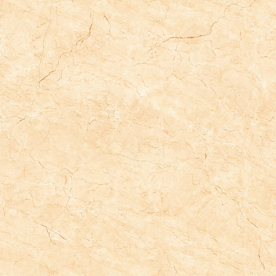 Ảnh Gạch Viglacera H503 2