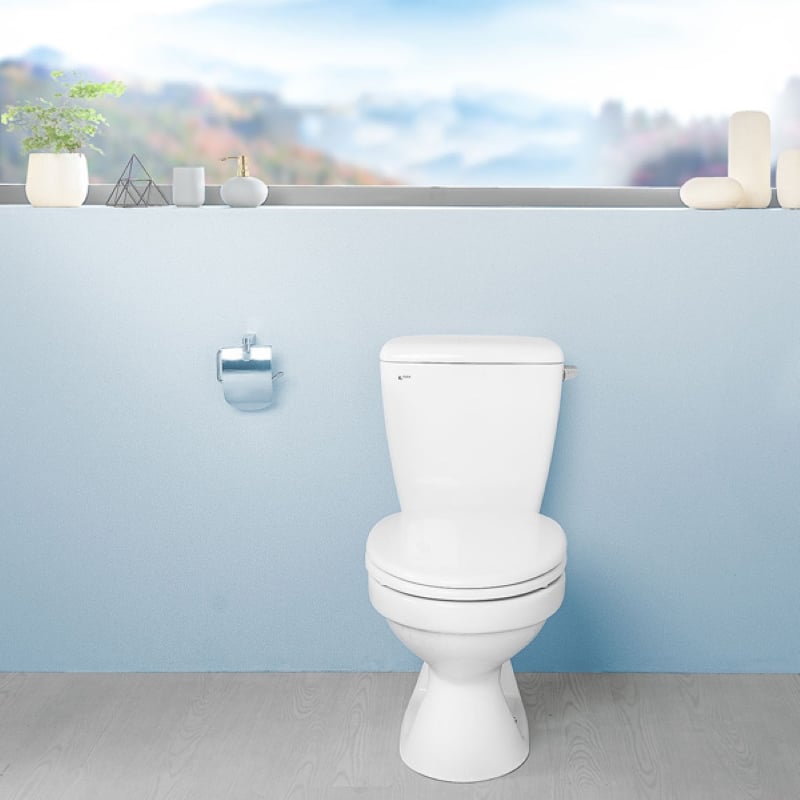 Ảnh Bồn cầu 2 khối Inax C-117VA 3