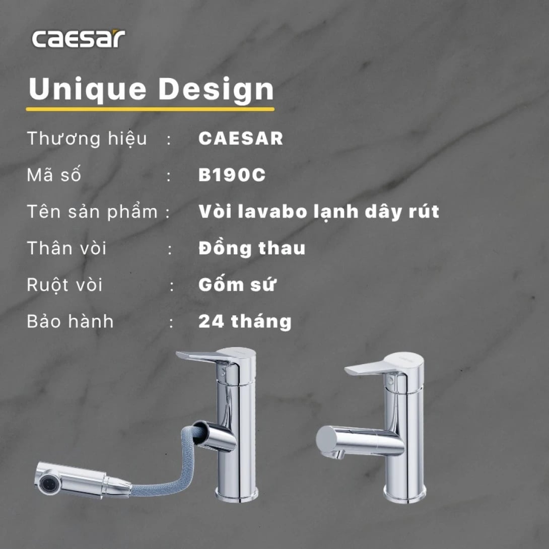 Ảnh Vòi chậu 1 đường lạnh Caesar B190C 2