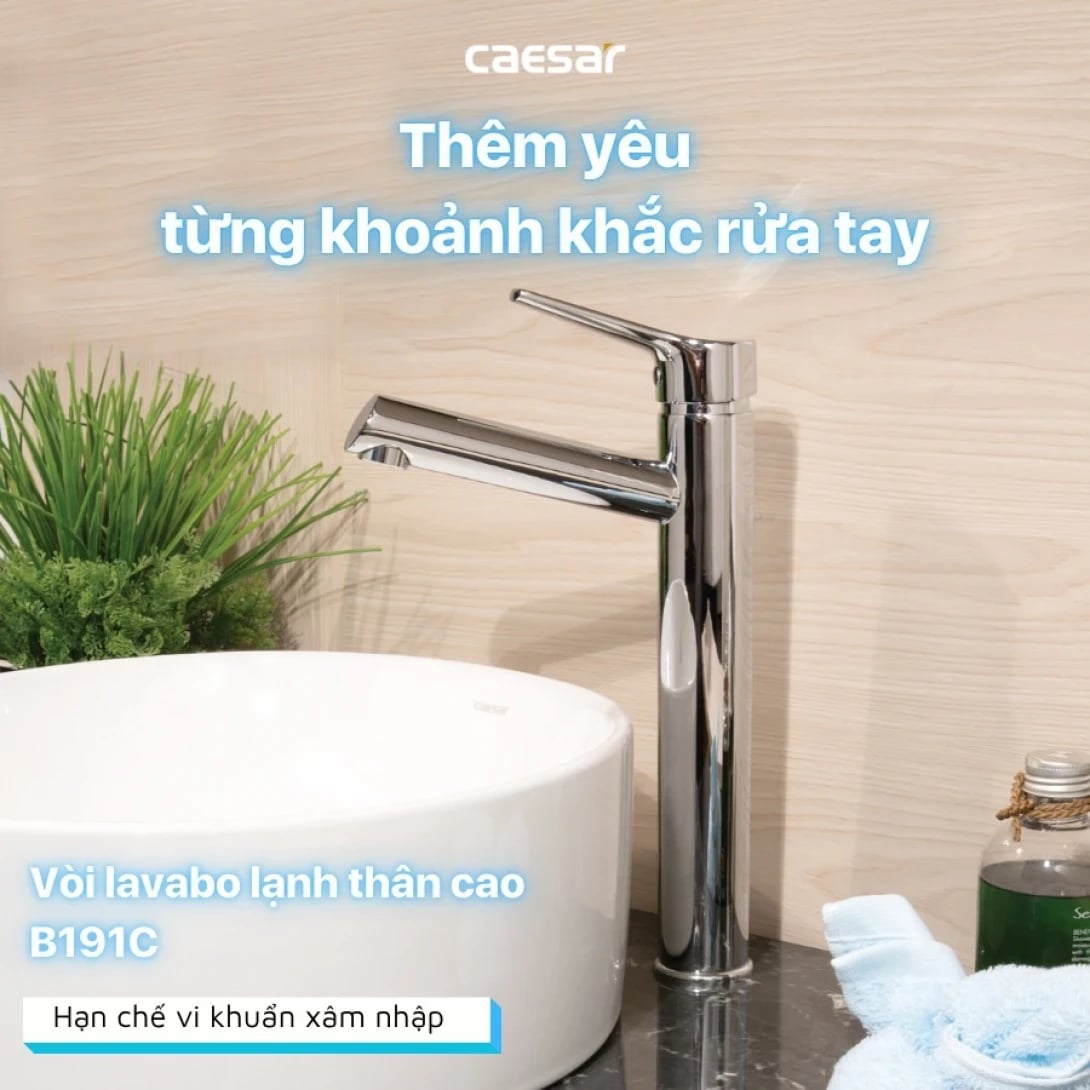 Ảnh Vòi chậu 1 đường lạnh Caesar B191C 3