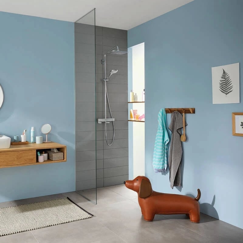 Ảnh Sen tắm cây Hansgrohe 27630000 5