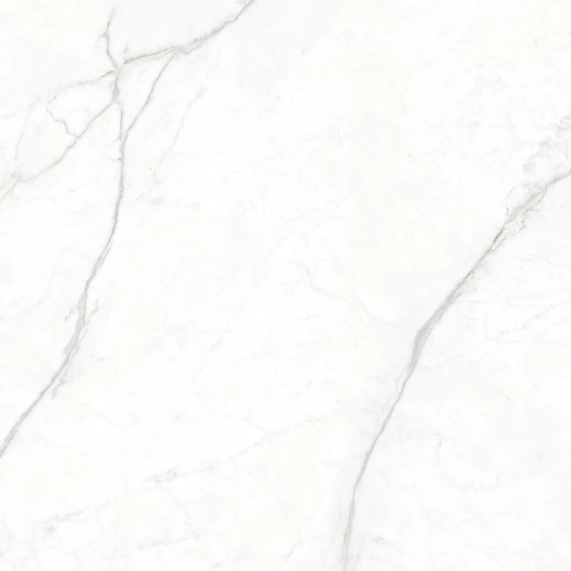 Gạch Eurotile PLA S01P