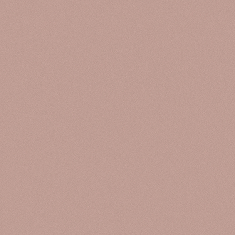 Gạch Taicera G39033M