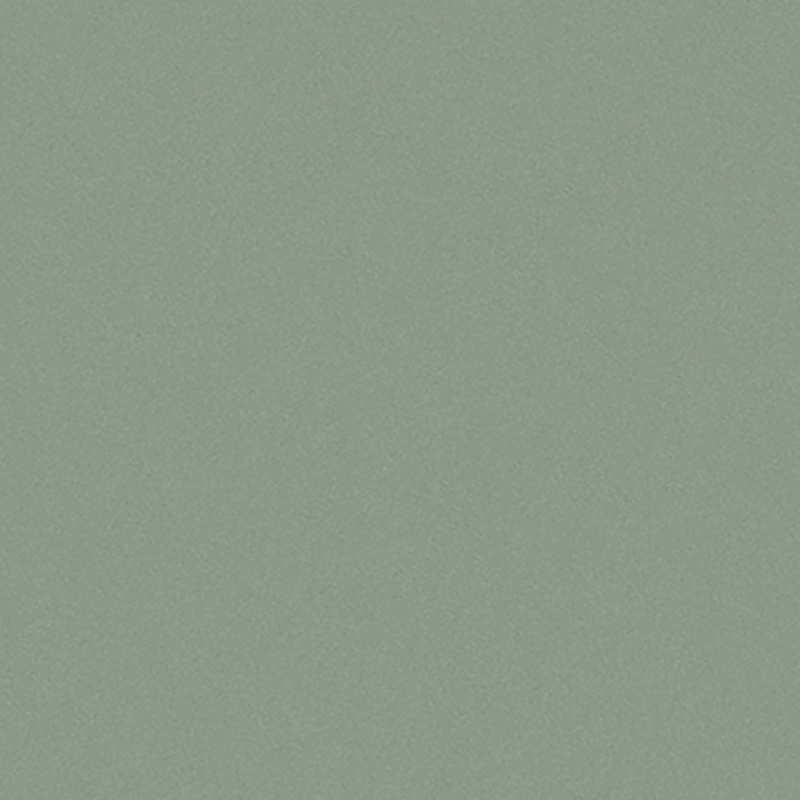 Gạch Taicera G39042