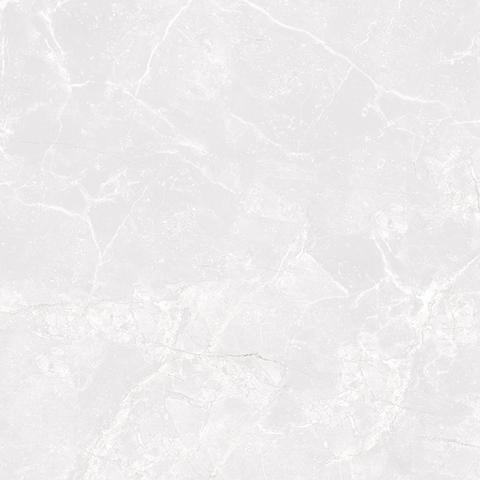 Gạch Taicera G98032