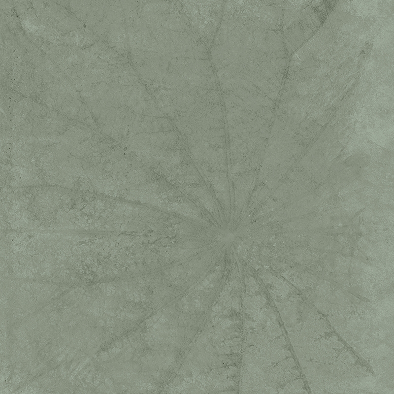 Gạch Taicera G98L08