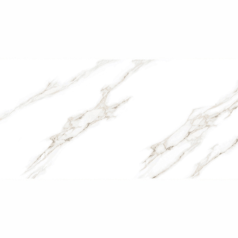 Gạch Taicera GP12022