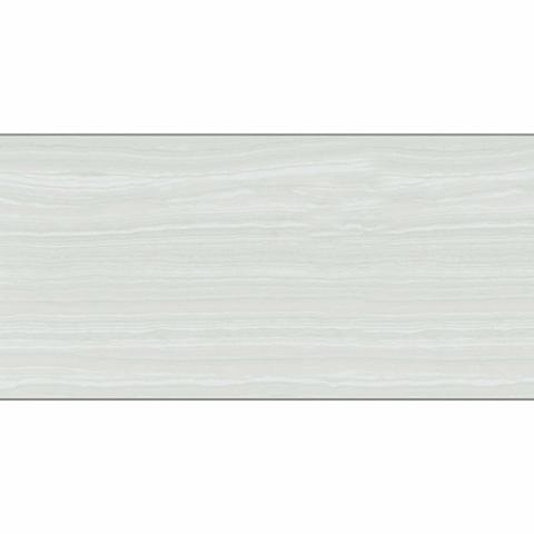 Gạch Taicera GP63867