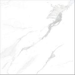 Ảnh Gạch Taicera GP88805 1