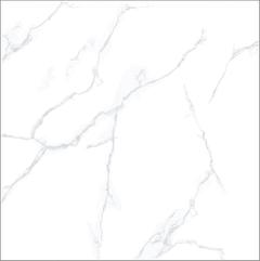 Ảnh Gạch Taicera GP98085 1