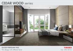 Ảnh Gạch Taicera GC200*1200-921 2