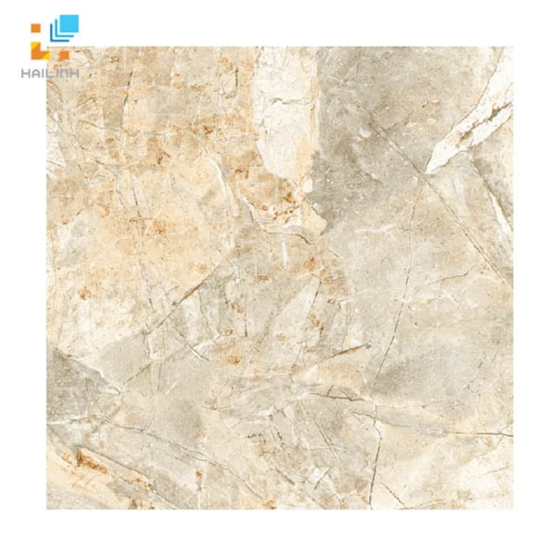 Gạch Viglacera H 502